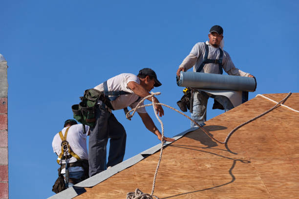 Best Metal Roofing Contractor  in Morocco, IN